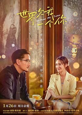 外国功夫海报剧照